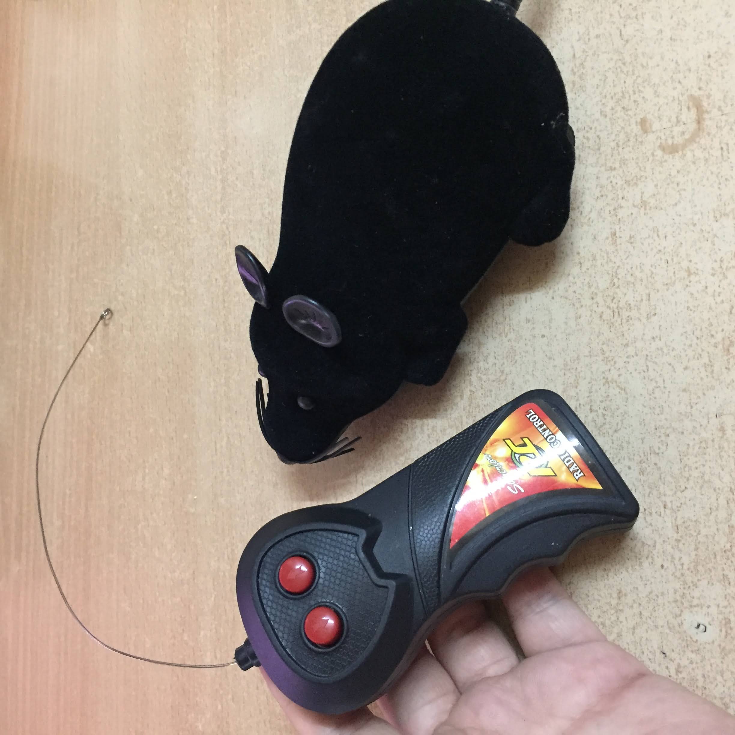 Chuột trêu ghẹo mèo pin thường AAA