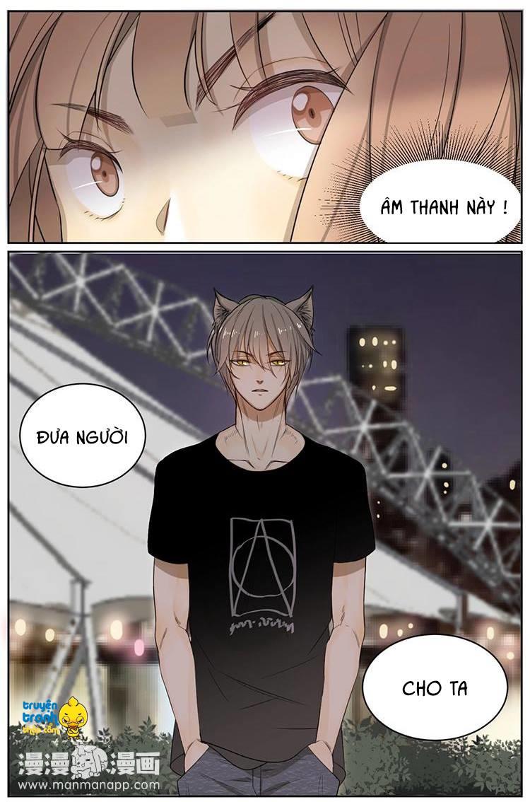 cứu mạng ! loài mèo thống trị thế giới rồi ! chapter 6 9