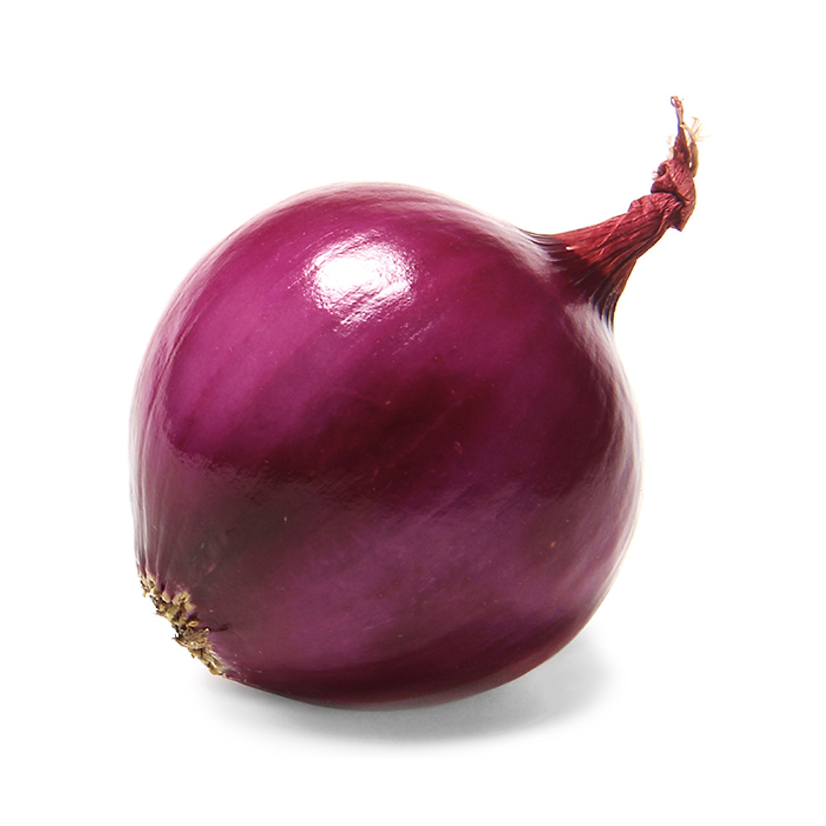 Hạt giống Hành tây đỏ SALAD RED 027