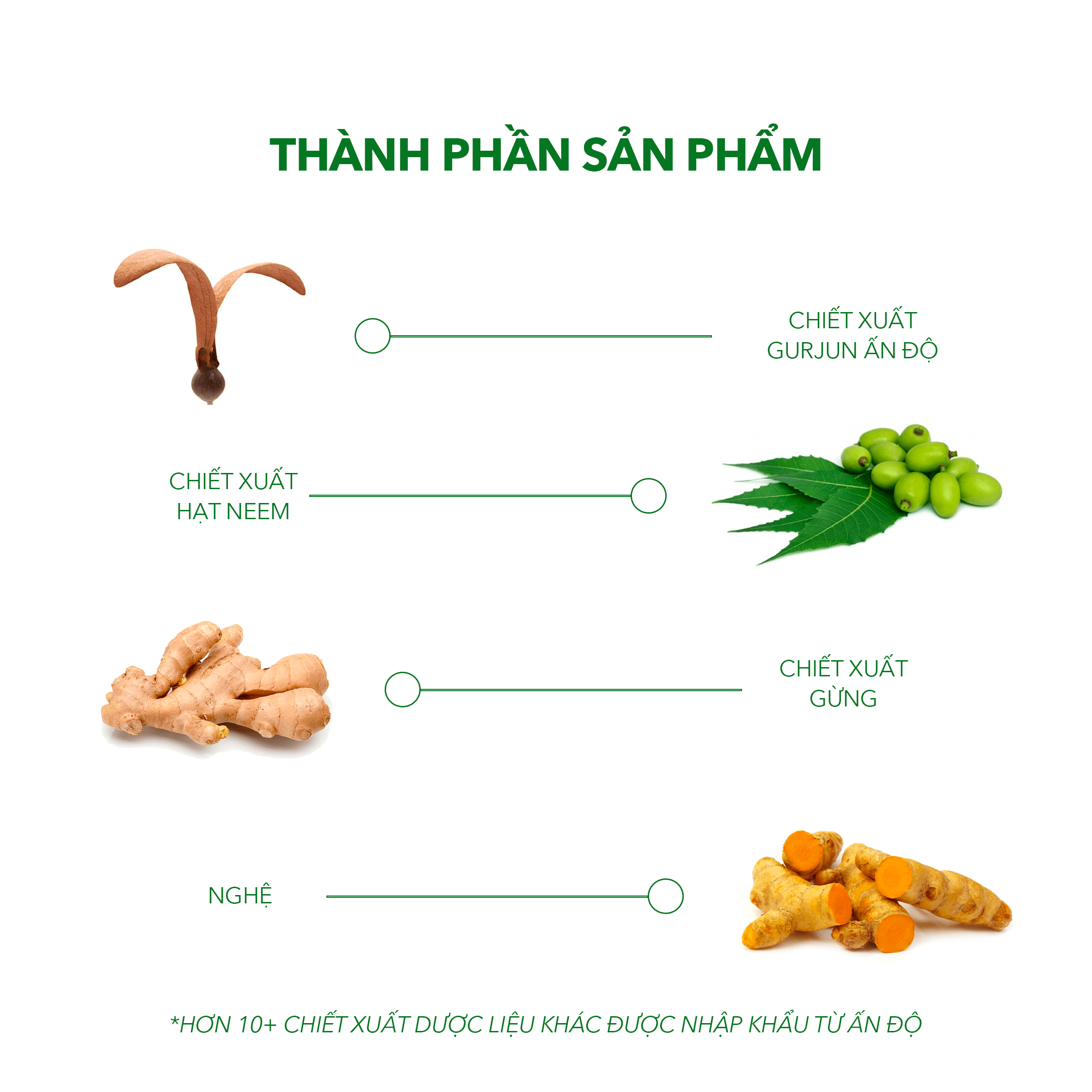 Dầu gội dược liệu Antisol - Ngăn ngừa nấm da đầu, gàu, ngứa da đầu