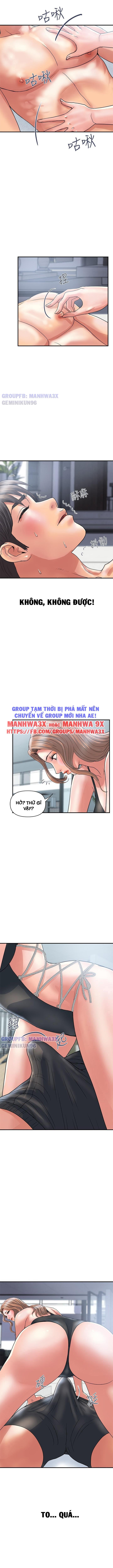 chất dẫn dục chapter 29 7