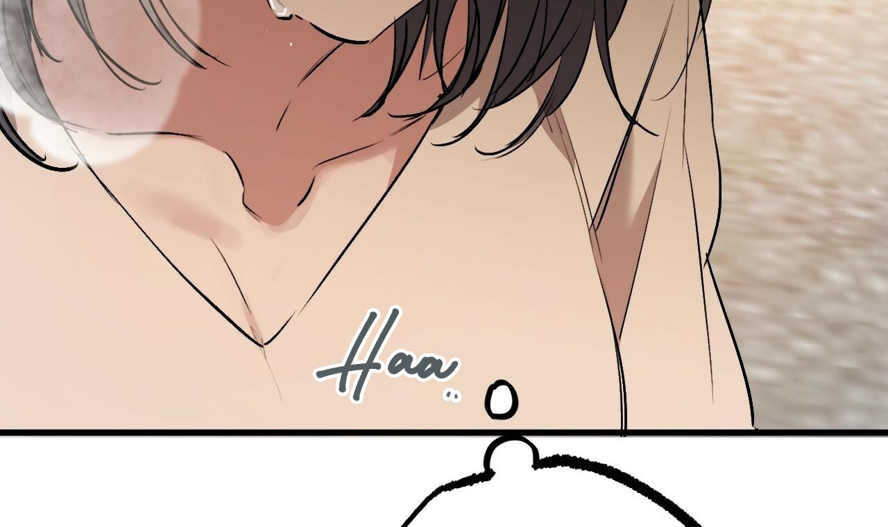 đàn thỏ của habibi chapter 45 250