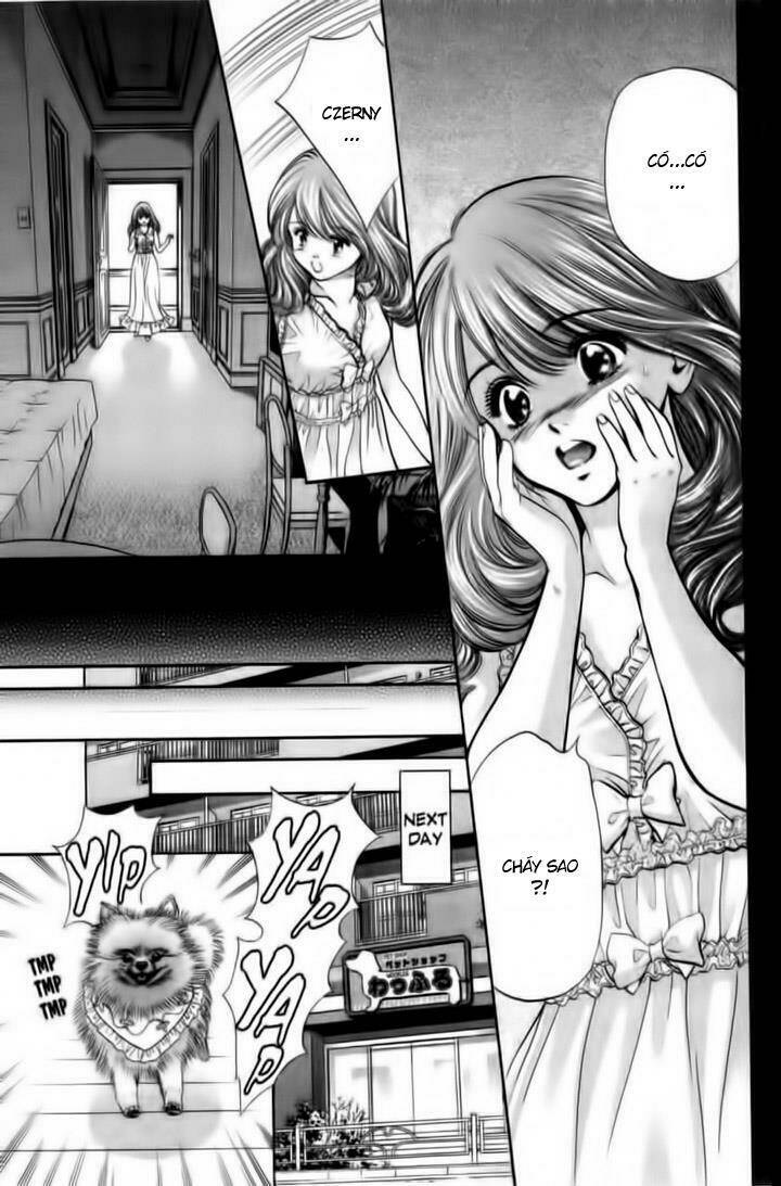 cô nàng yêu chó chapter 23 10
