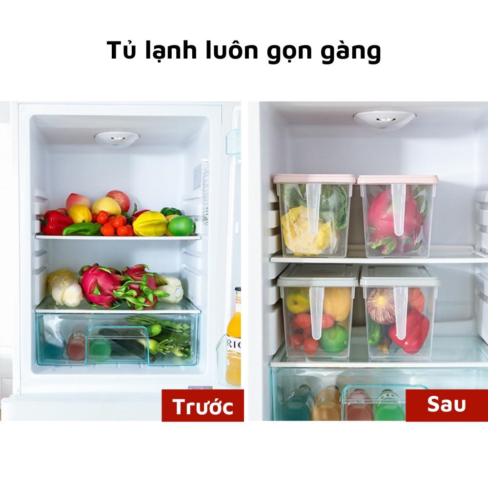 Hộp đựng thực phẩm thức ăn tủ lạnh tủ bếp cỡ lớn có tay cầm đa năng hộp trong suốt có nắp đậy tiện ích thông minh