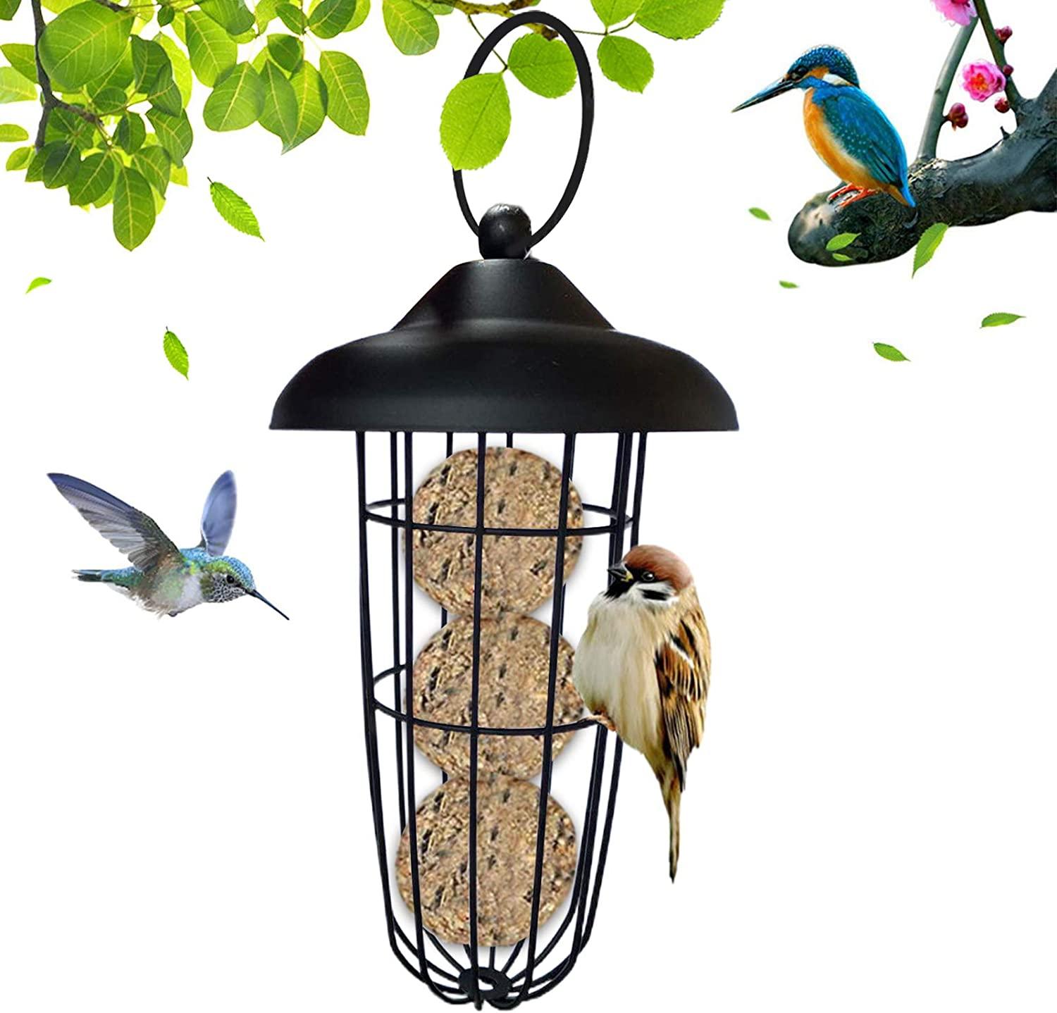 Nụ cười tỏa nắng Treo máng ăn cho chim hoang dã, Dụng cụ đựng thức ăn cho chim, Dụng cụ cho chim ăn, Dụng cụ cho chim ăn, Dụng cụ cho chim treo bóng