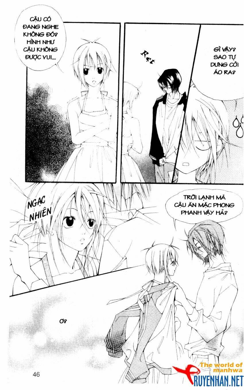 ngọc trong đá-ace chapter 12 8