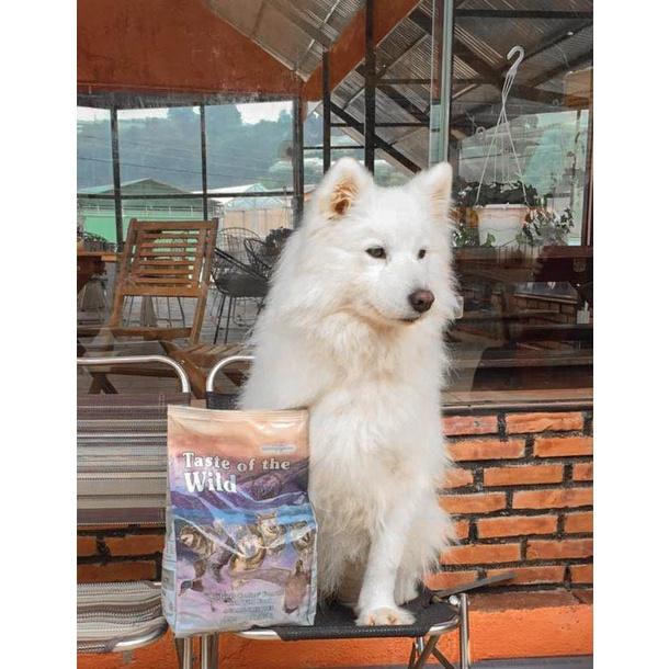 Thức Ăn Cho Chó Poodle Taste Of The Wild Bao 2kg - Wetlands Thịt Chim Rừng, Trái Cây Rau Củ Quả