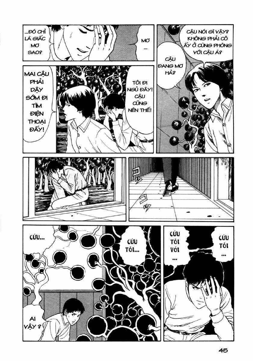 tuyển tập truyện ngắn kinh dị của ito junji chapter 8.1 44