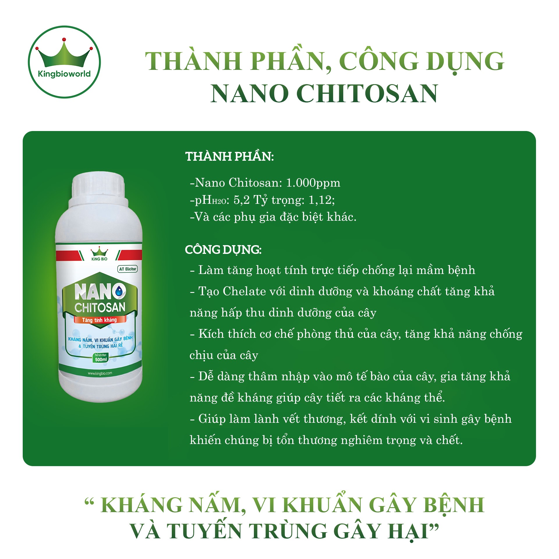 King Nano Chitosan 500ml - Nano kháng nấm, Diệt vi khuẩn gây bệnh và tuyến trùng gây hại, tăng khả năng hấp thụ dinh dưỡng cây trồng