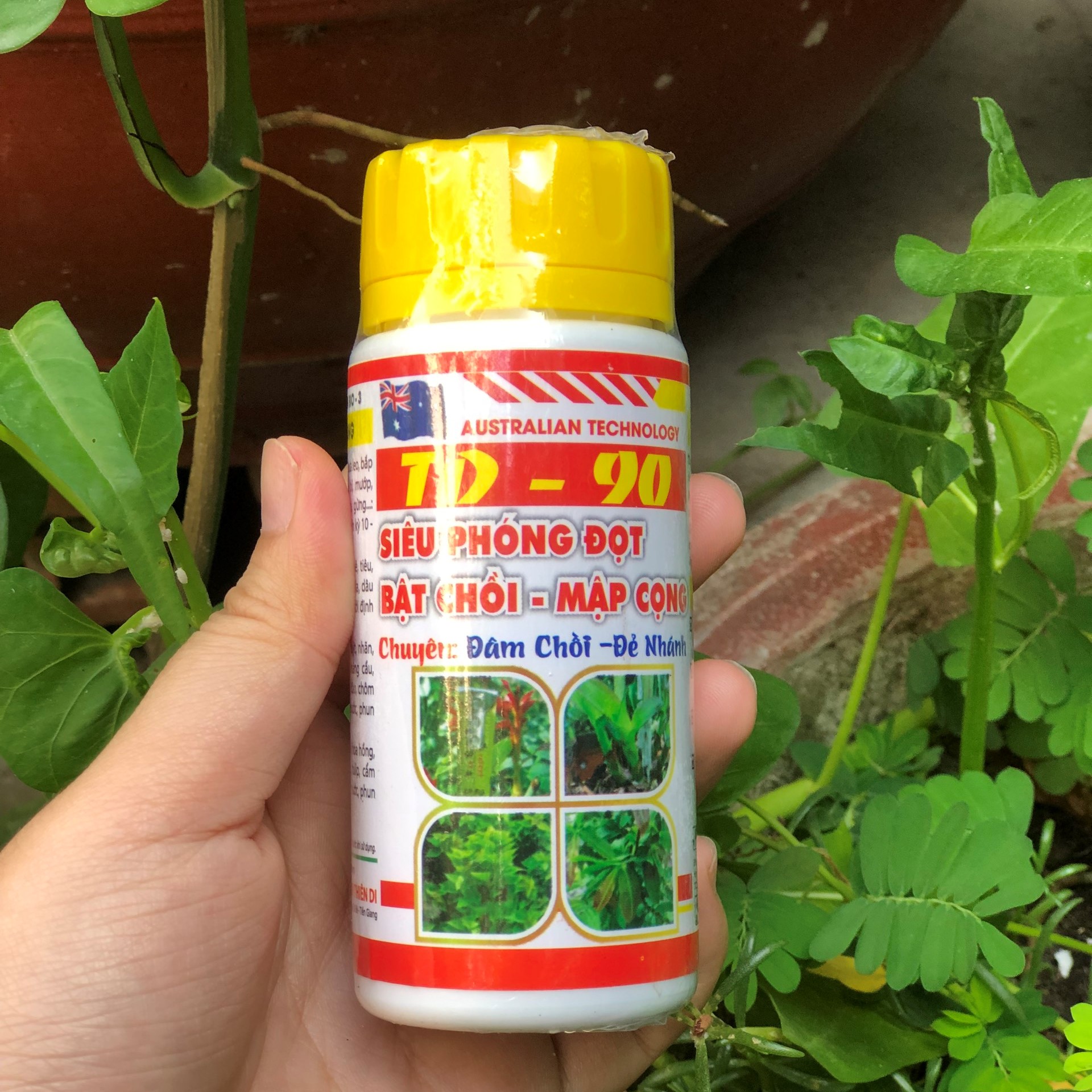 Siêu phóng đọt bật chồi mập cọng TD 90-Úc -100ml