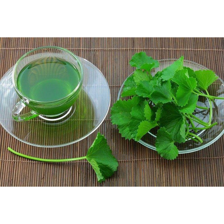 Hạt giống Rau má thái lan, rau má ta lá nhỏ
