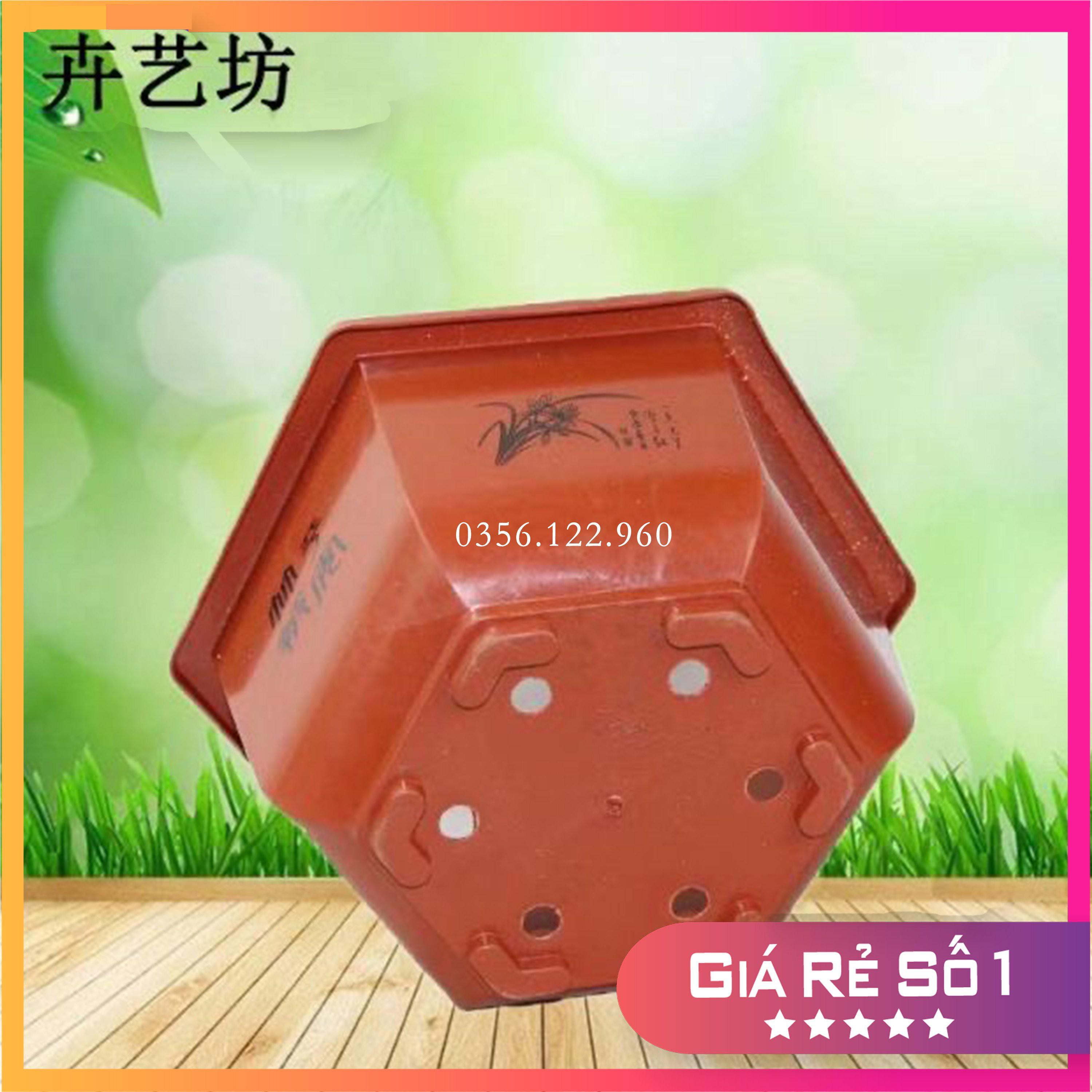 Bộ 10 chậu lục giác trồng cây họa tiết FA320 KT 30x18cm