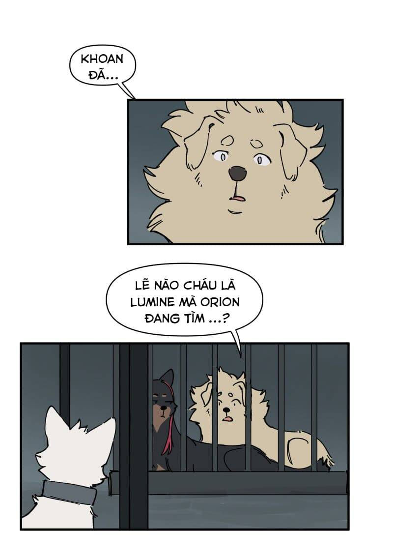 lumine - cội nguồn ánh sáng chapter 143 14