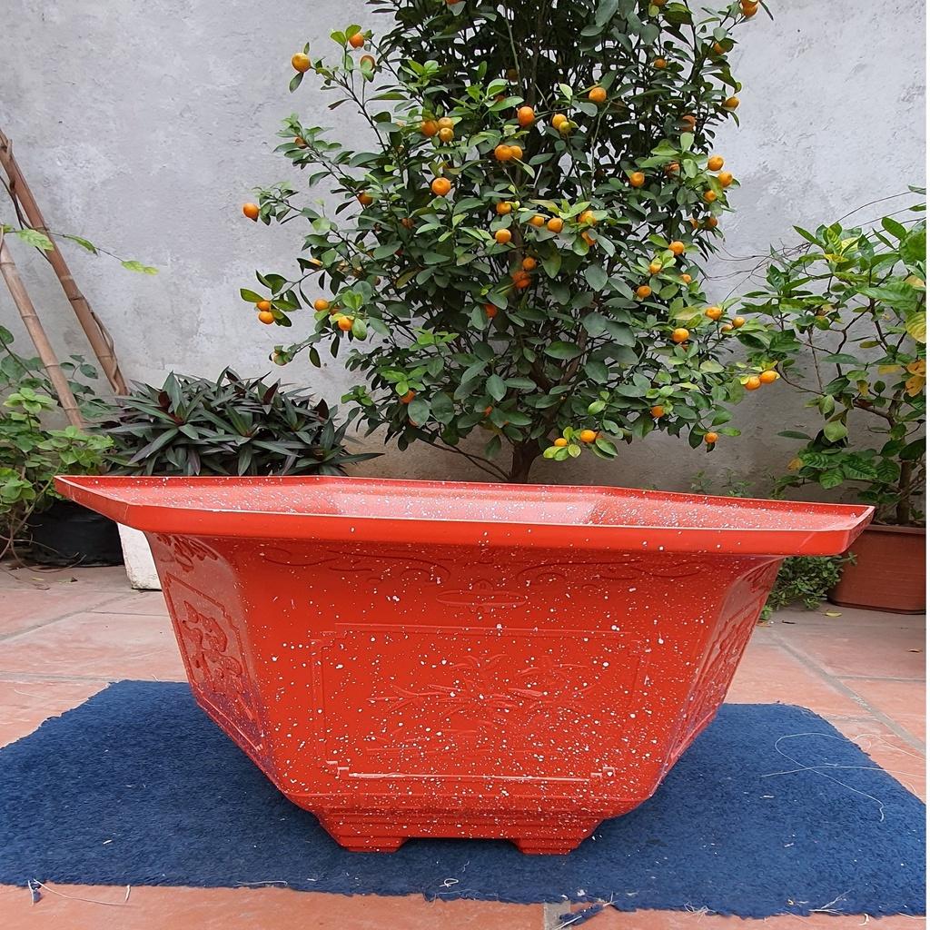 Chậu nhựa lục giác Phúc, Lộc, Thọ L23 đa sắc màu