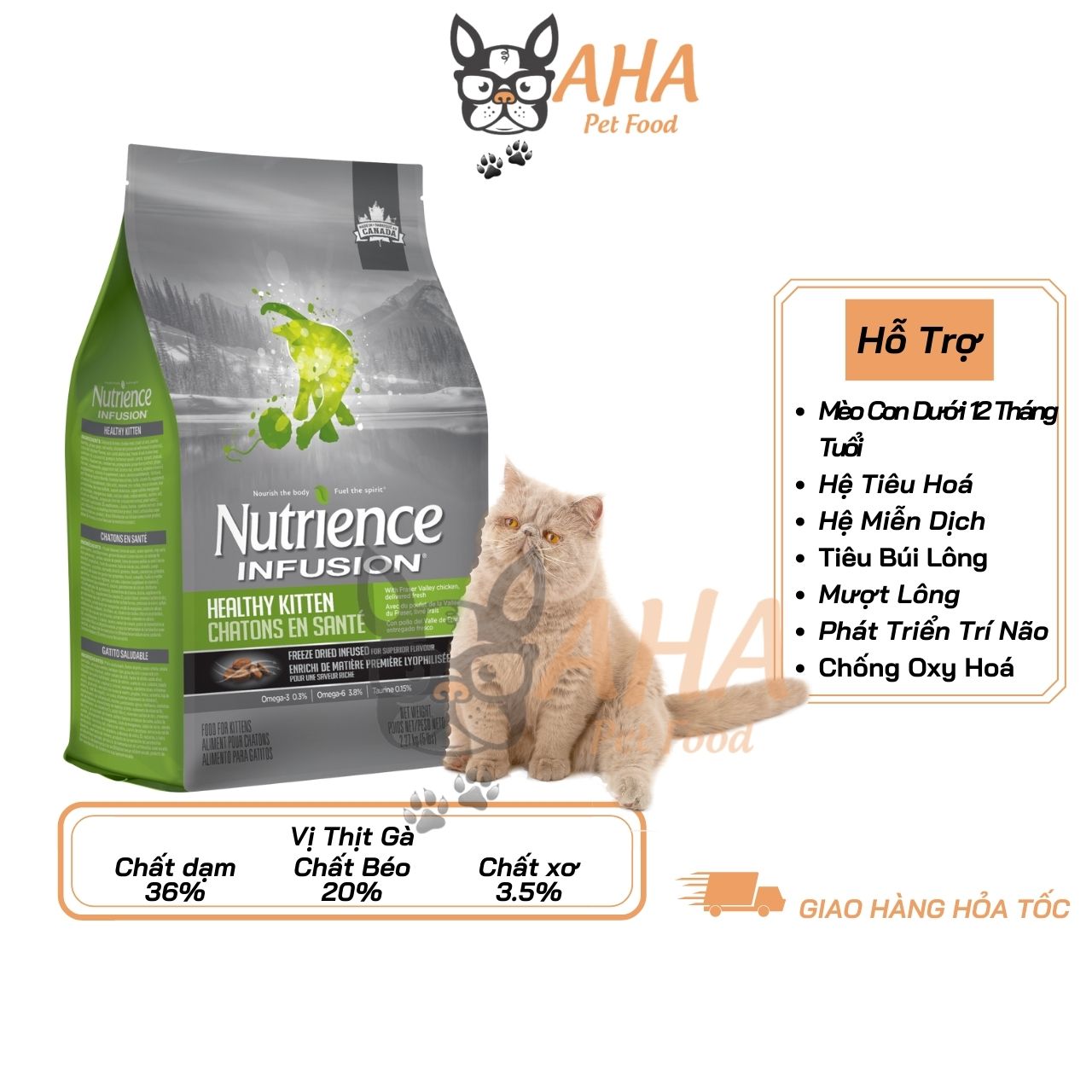 Thức Ăn Cho Mèo Ba Tư - Nutrience Original Bao 5kg - Thức Ăn Cho Mèo, Vị Thịt Gà, Dầu Cá Hồi, Rau Củ, Trái Cây Tự Nhiên