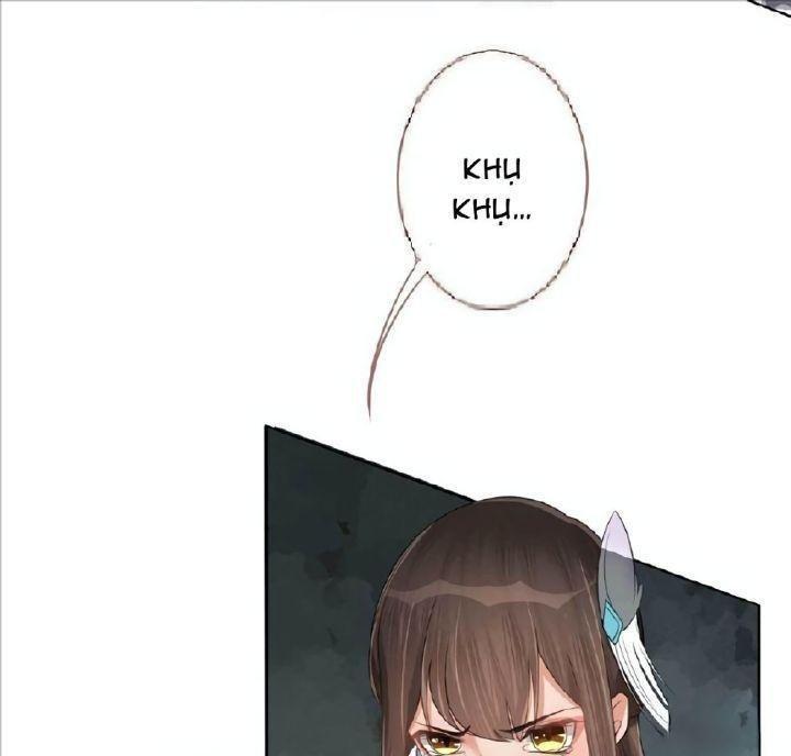 lấy thiên hạ làm sính lễ: vương phi lại trêu ta chapter 1 29