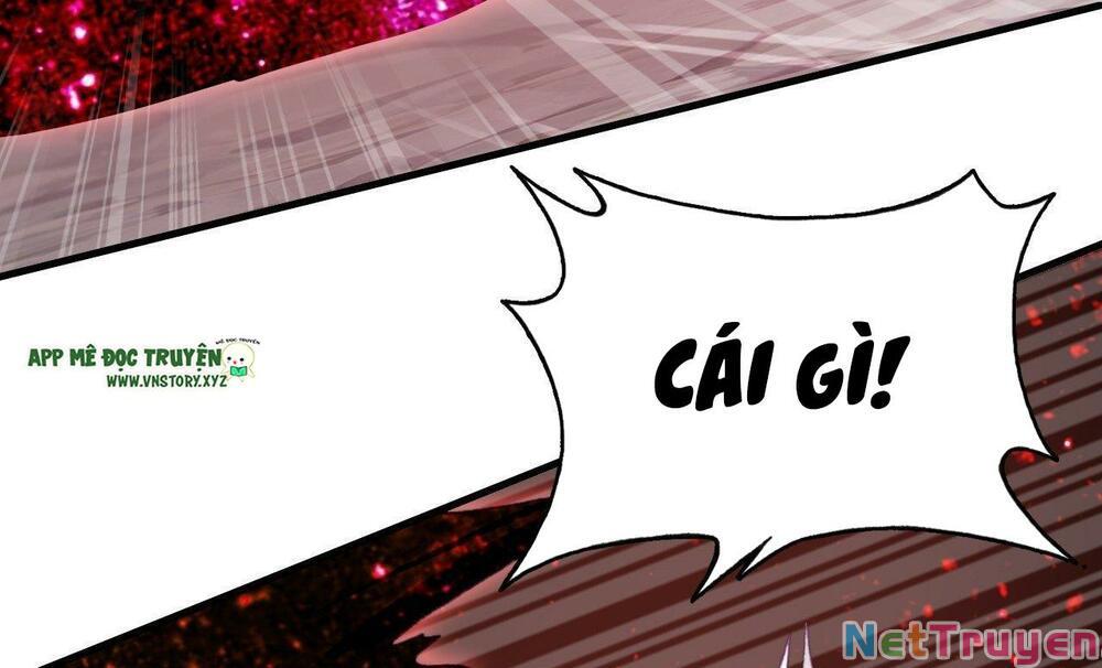 lại bị bệnh chiều chuộng quấn lấy chapter 81 35