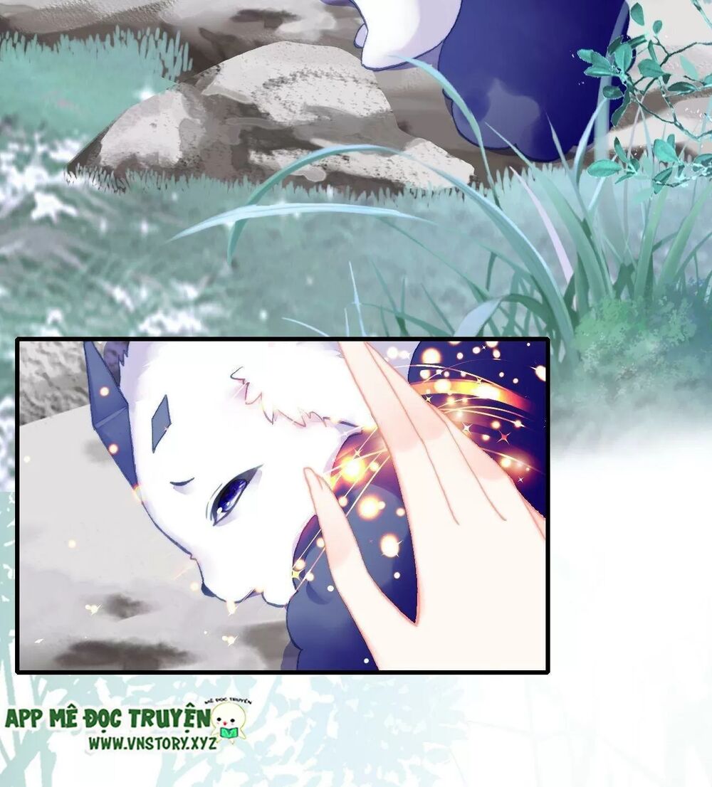 lại bị bệnh chiều chuộng quấn lấy chapter 76 60