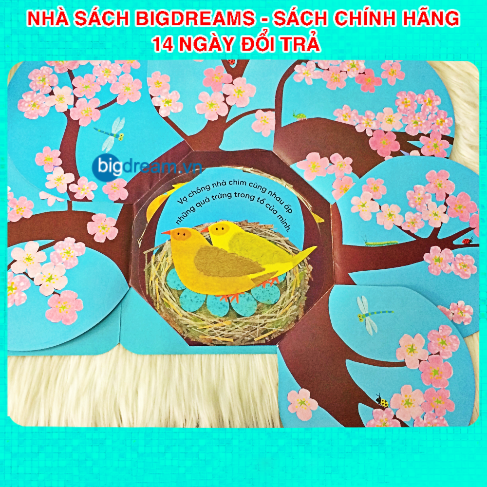 Vòng đời kỳ diệu Trứng nhỏ nở chim non - Sách Tương tác lật mở cho bé từ 3-6 tuổi