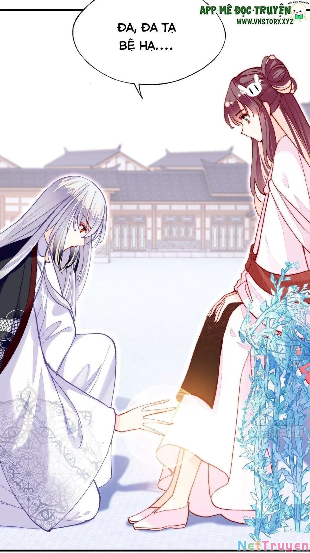 lại bị bệnh chiều chuộng quấn lấy chapter 50 52