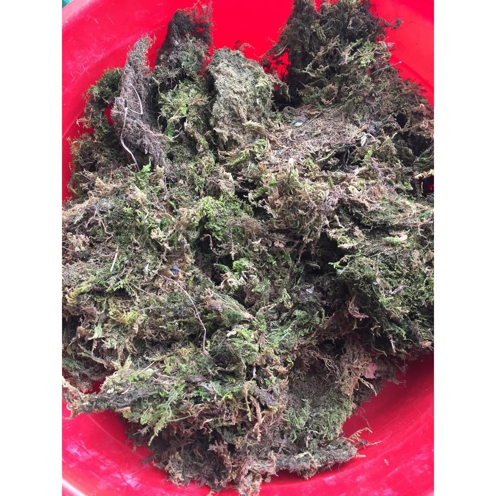 Rêu rừng - 500gr