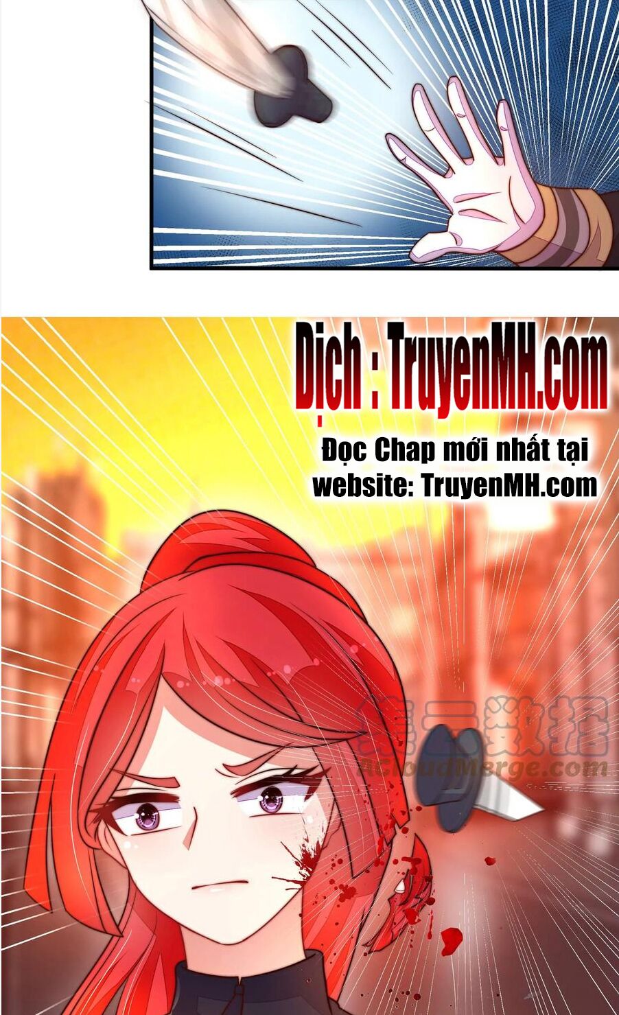 ngày nào thiếu soái cũng ghen chapter 580 17