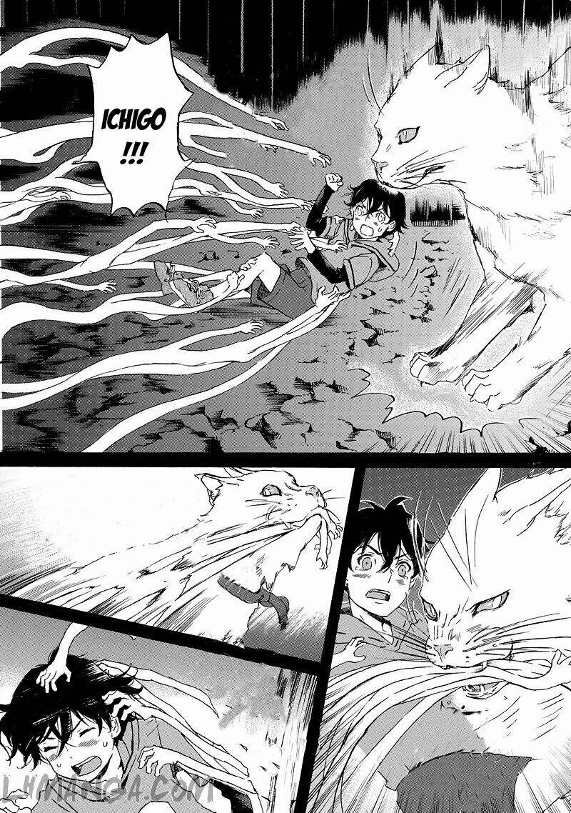 totsugami chapter 20 3