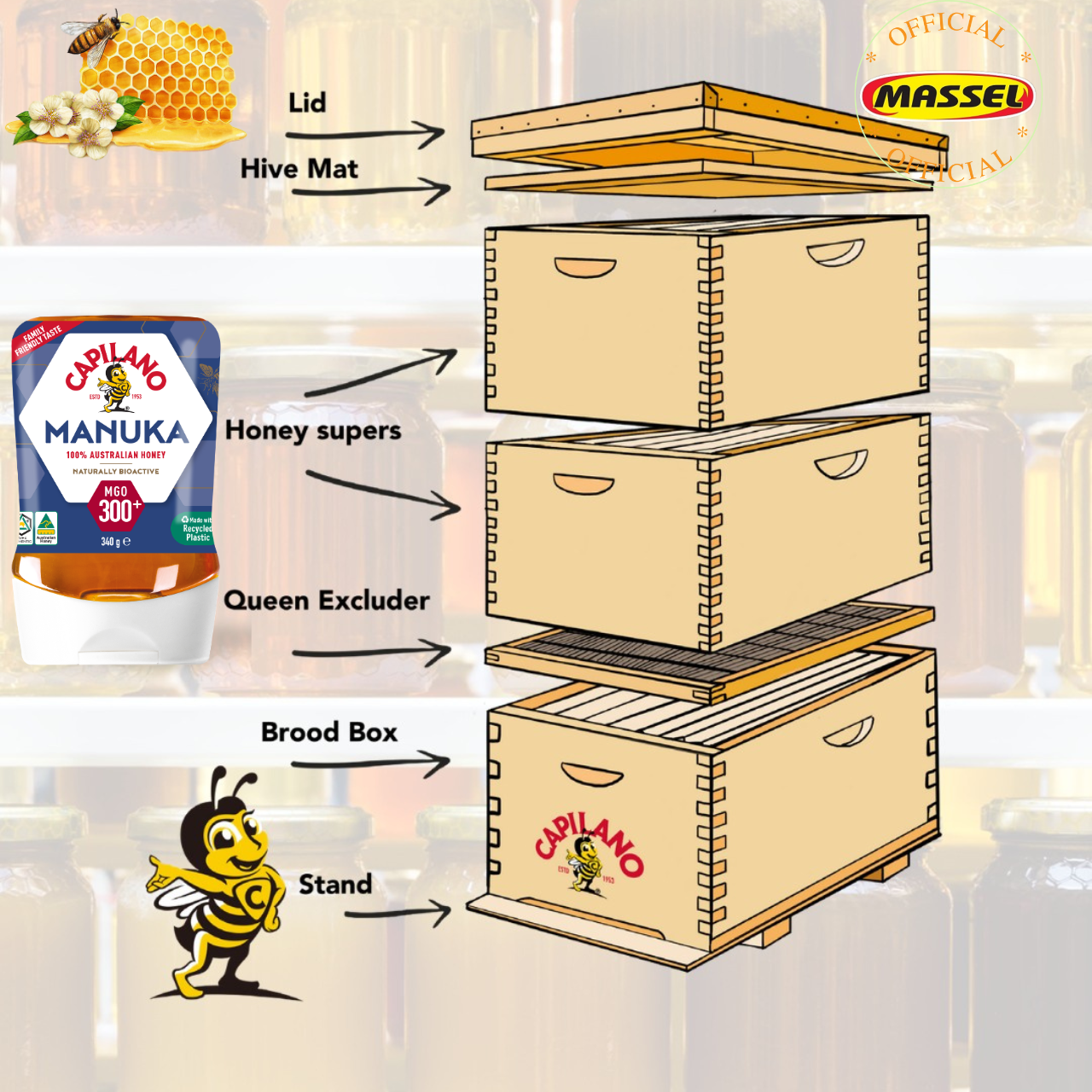 Mật ong hoa Manuka Capilano Honey MGO 300+ tăng sức đề kháng, giảm ho, viên họng, dưỡng ẩm da và môi cang bóng mịn màng - Massel Official