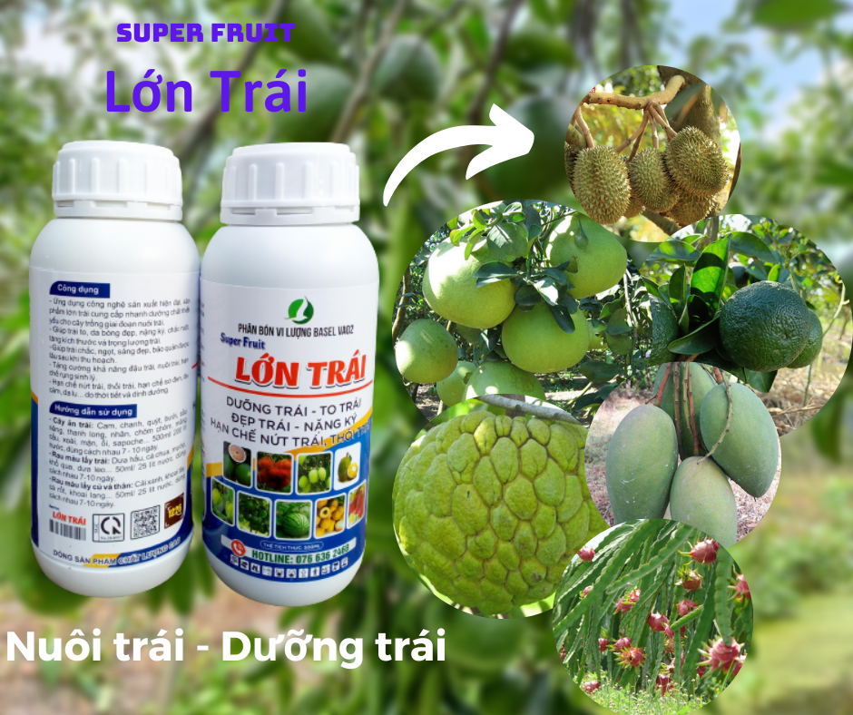 SUPER FRUIT (DƯỠNG TRÁI) - 500ml