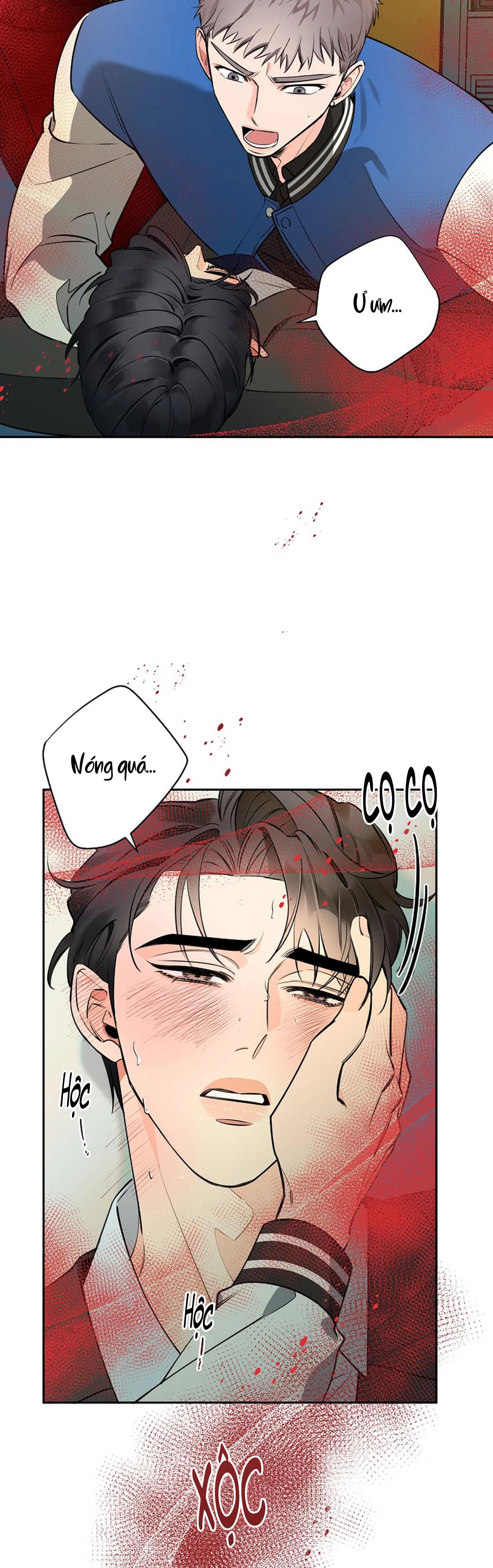 đêm dịu dàng chapter 37 4