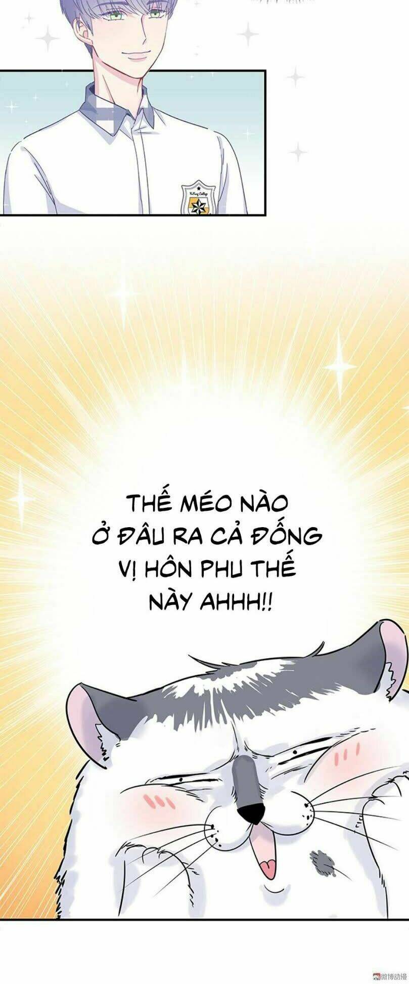 ứng cử viên hôn phu của ta chapter 0 9