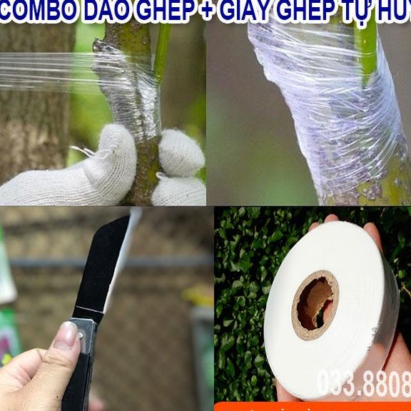 Combo Dao Ghép Cây Cán Gập & Giấy Ghép Cây Tự Hủy 3cm