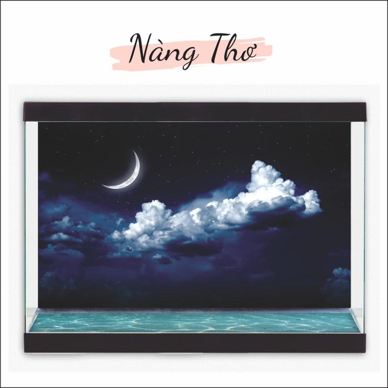 Decal dán hồ cá 3D THE MOON nhiều mẫu