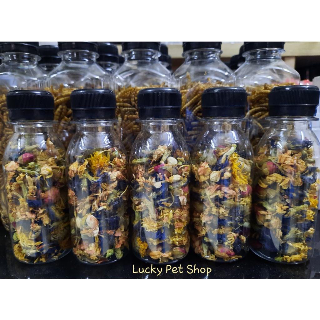 Lọ mix nhiều loại hoa khô cho thú cưng