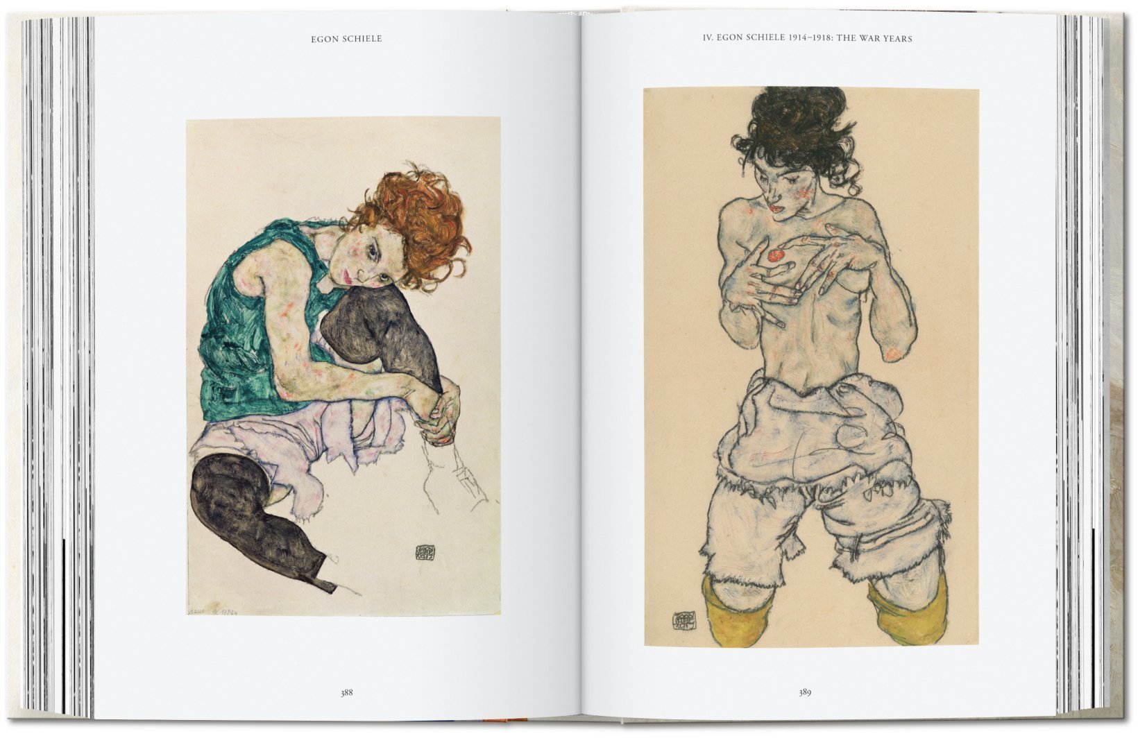 Artbook - Sách Tiếng Anh - Egon Schiele: The Complete Paintings 1909–1918