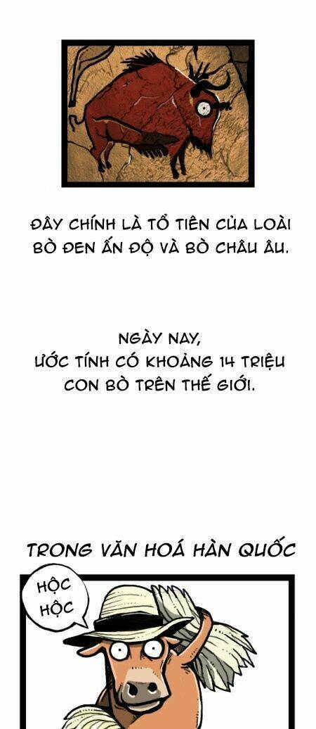 earth, human, and animal chapter 24 18