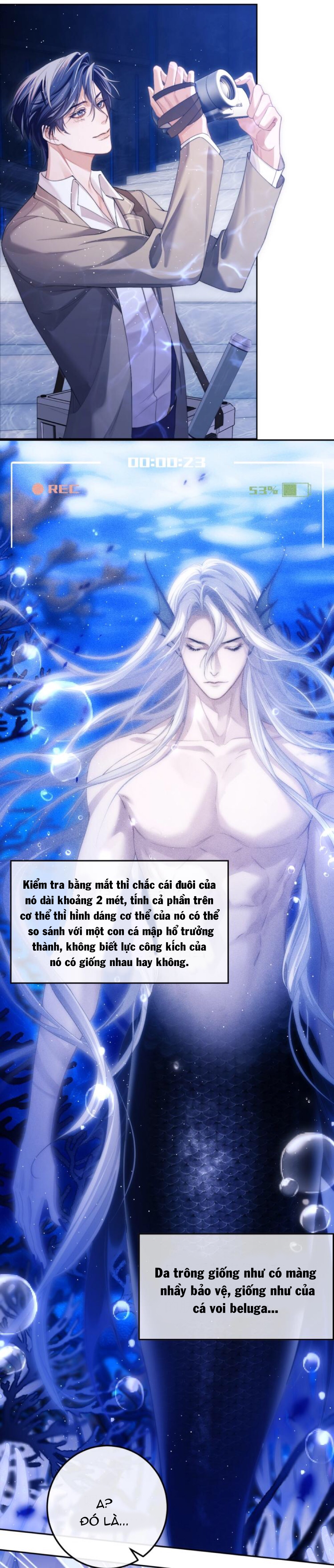 nhân ngư dessaro chapter 2 21