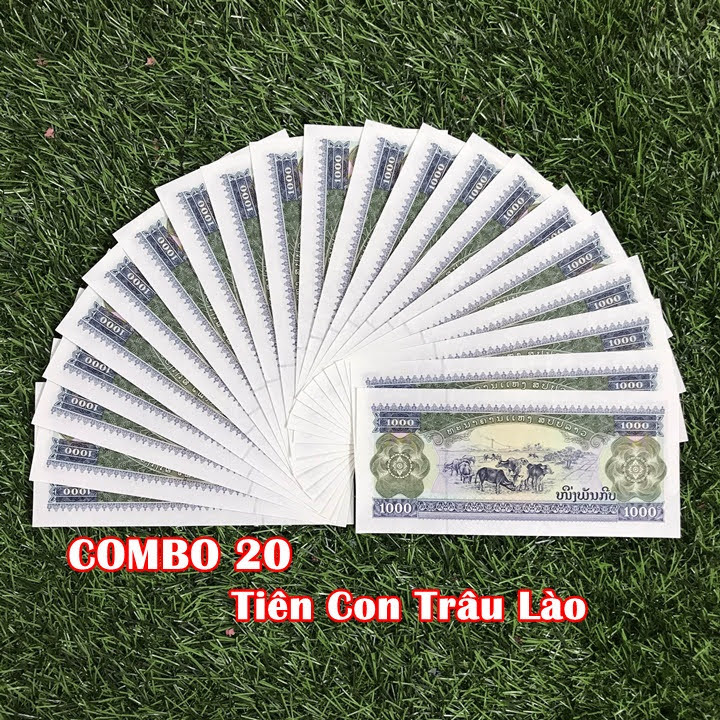 Combo 20 tờ lưu niệm hình con Trâu của Lào, dùng để sưu tầm, lưu niệm, làm tiền lì xì độc lạ, may mắn, ý nghĩa - TMT Collection - SP005073