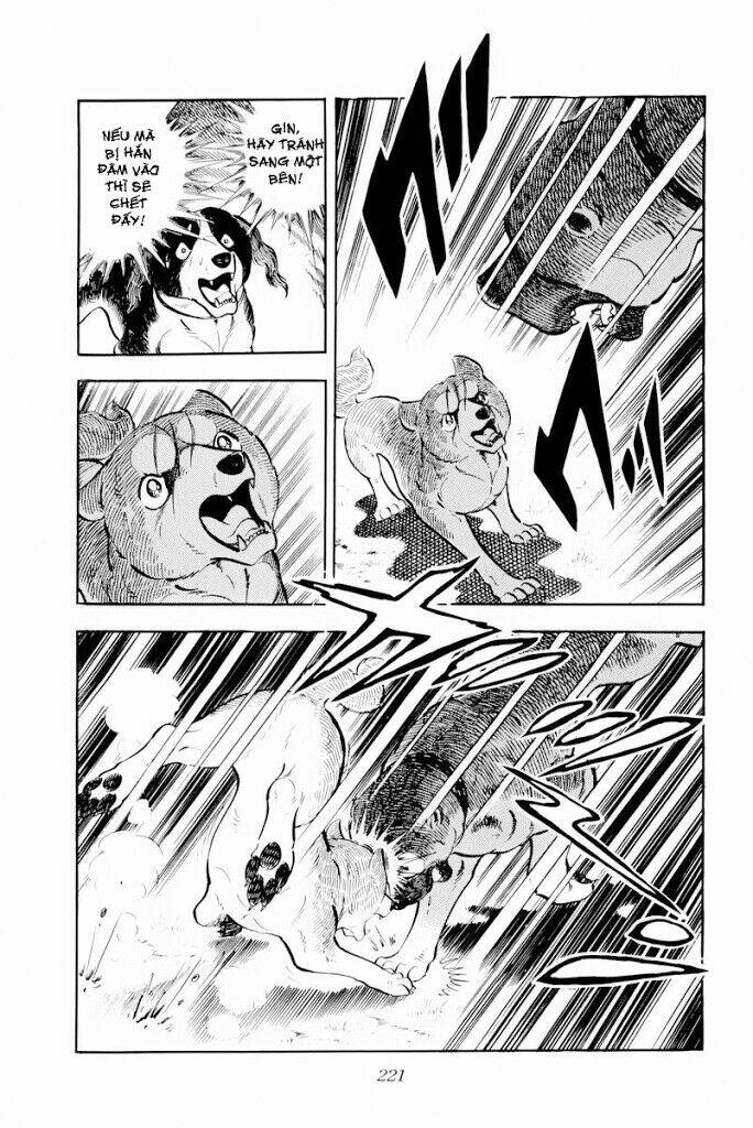 chú chó có nghĩa - ginga nagareboshi gin chapter 29.2 8