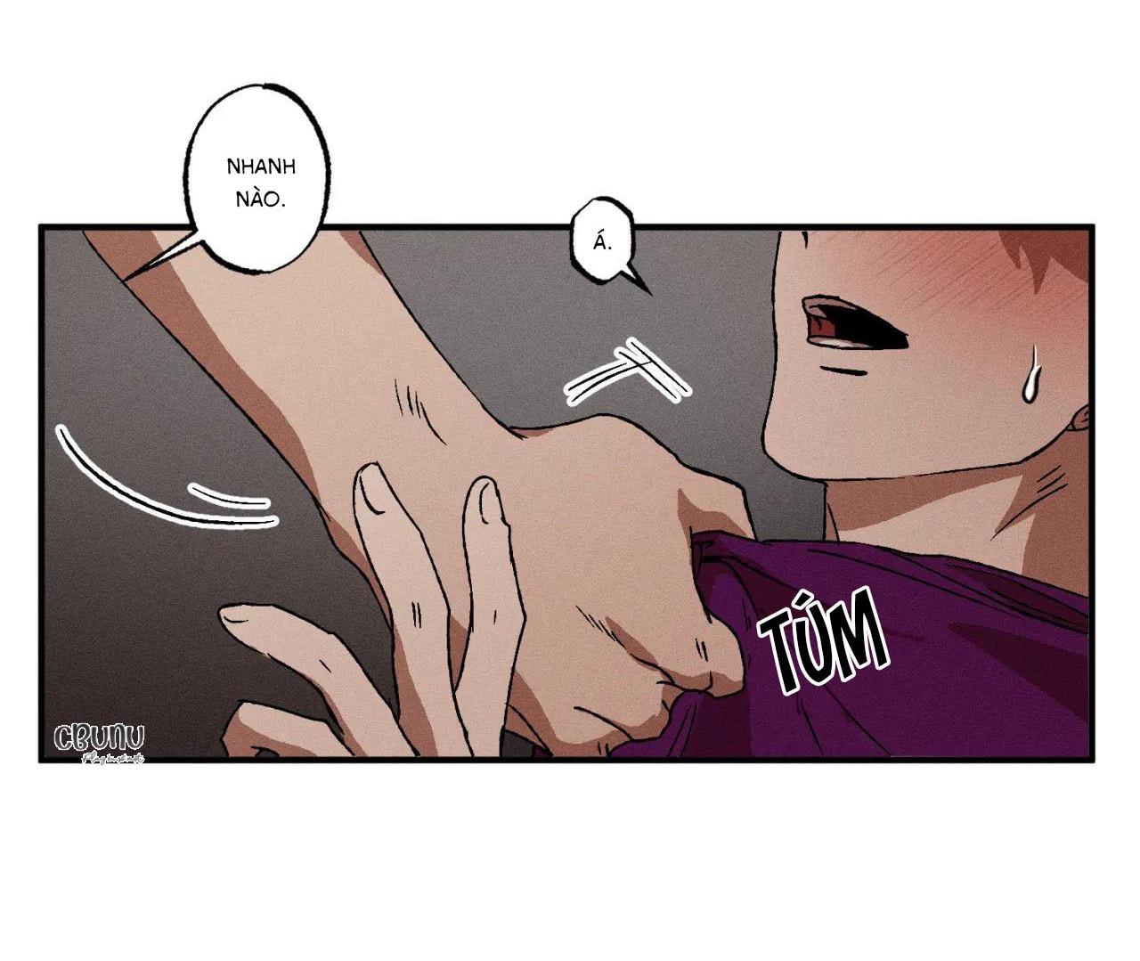 bẫy đôi ngọt ngào chapter 19 61