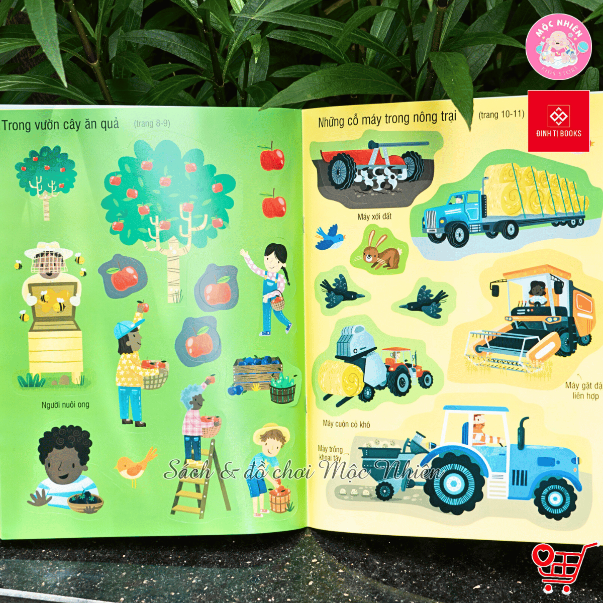 Sách - First Sticker Book - Sách dán hình đầu đời cho bé (Nhiều chủ đề) - Đinh Tị Books