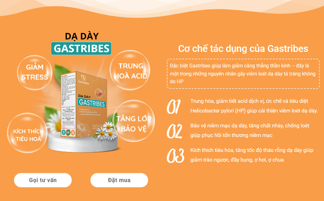 Dạ dày Gastribes - Sản phẩm hỗ trợ điều trị viêm loét dạ dày tá tràng hoàn toàn từ thiên nhiên