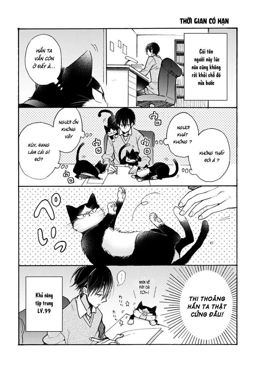 doukyonin wa hiza, tokidoki, atama no ue chapter 6.6 4