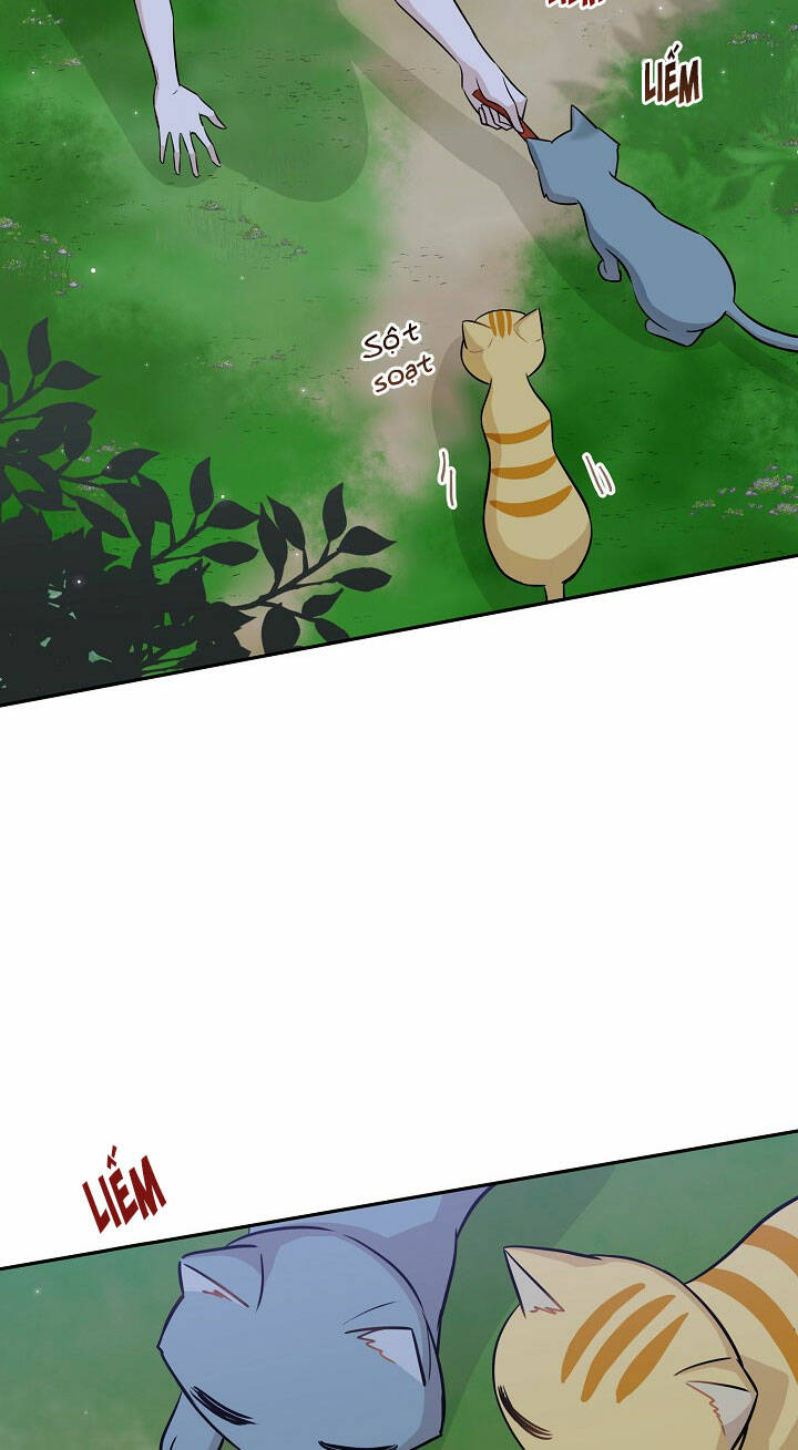 cuộc sống kỳ thú chapter 97 12