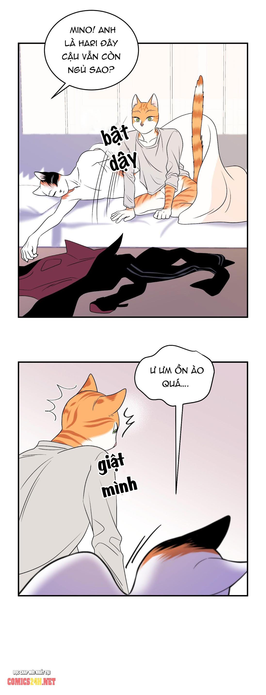 dự án xanh chapter 2 20