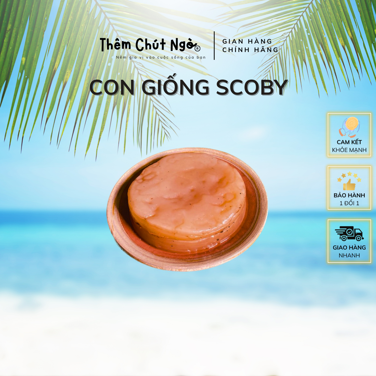 Scoby làm trà Kombucha, con giống Kombucha kèm nước mồi 150ml, con giống làm trà Kombucha