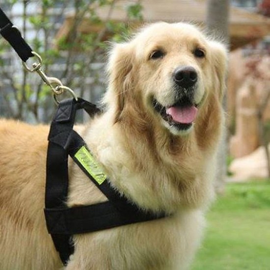Yếm Police Dog Dành Cho Chó Lớn - Chất Liệu Dày Dặn, Bền, Đẹp