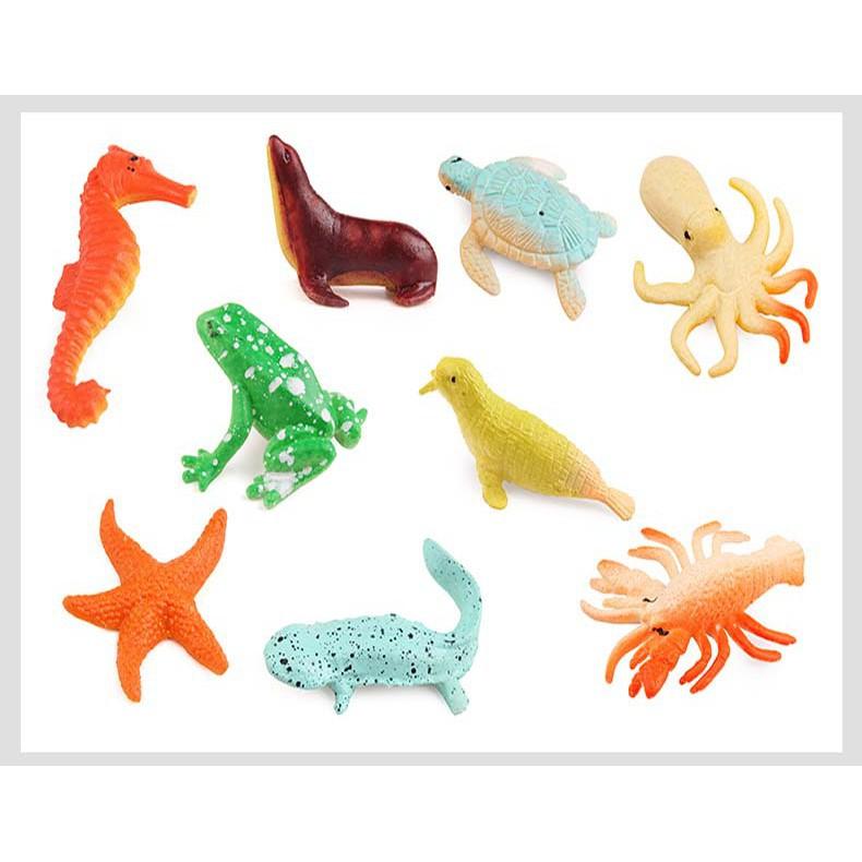 SÒ NỞ THÚ BIỂN-g61