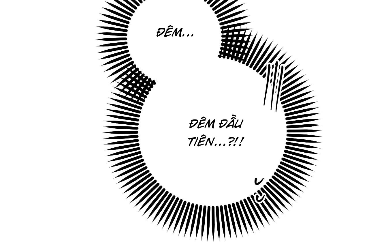 những chú thỏ của hapypy chapter 58 63