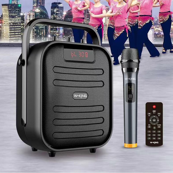 Loa Bluetooth Karaoke W-King T5 - hàng chính hãng